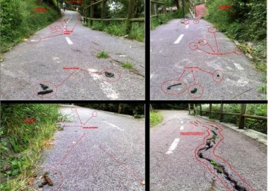 BIDEGORRI DE BERAUN O BIDEKAKA PARA PERROS???