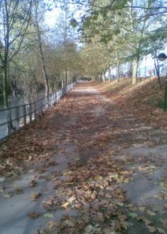 bidegorri de oiartzun sucio