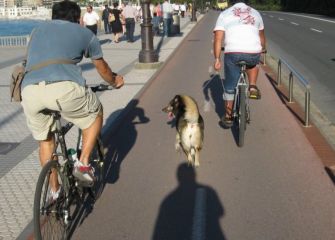 ¿Bidegorri para animales?