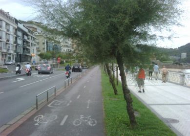 BIDEGORRI .PODA DE RAMAS