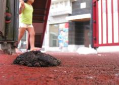 Cacas de perro en parques infantiles