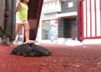 Cacas de perro en parques infantiles