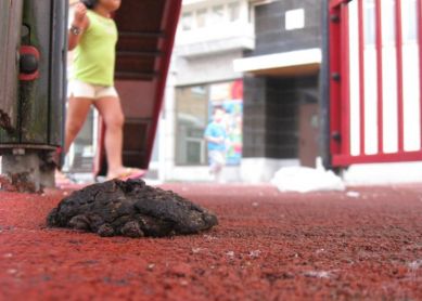 Cacas de perro en parques infantiles