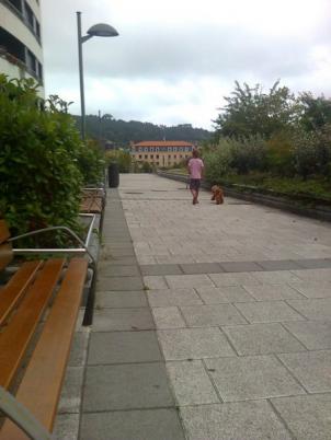 Civismo en Donostia-San Sebastián