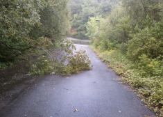 Camino al trabajo sin camino