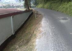 CAMINO PELIGROSO