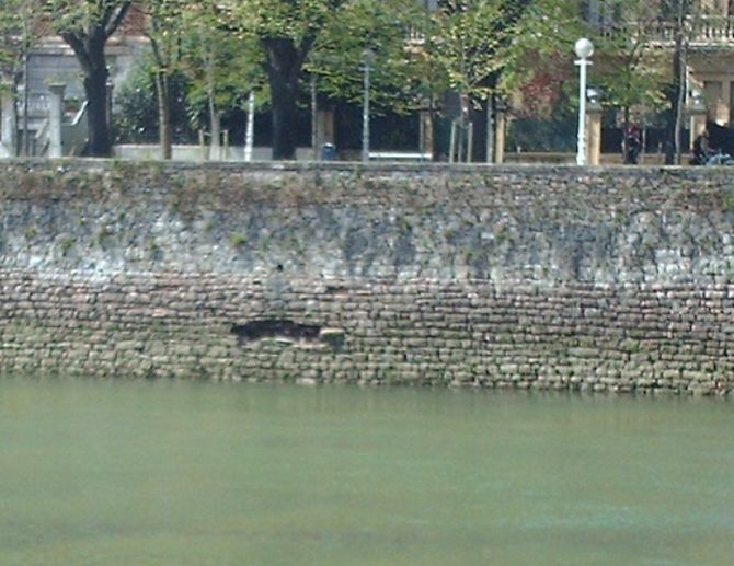 Otros en Donostia-San Sebastián