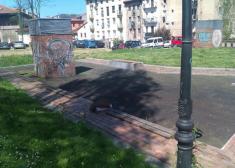 Columpios en Patxiku