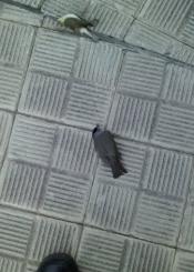 Cómo ir a trabajar y deprimirte antes de empezar....