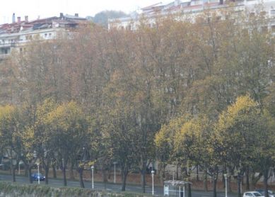 Compromisos del Ayuntamiento de Donostia