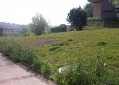 CON MI TIERRA HAGO LO QUE QUIERO