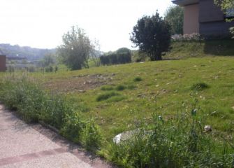 CON MI TIERRA HAGO LO QUE QUIERO