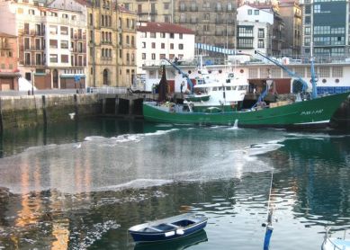 Contaminación en el Muelle donostiarra