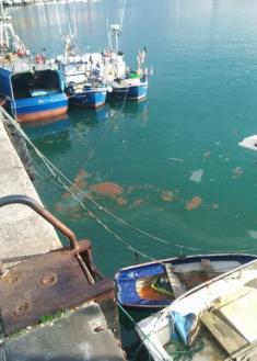 Contaminación en San Pedro