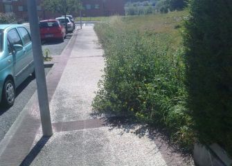 Control sobre setos, árboles, etc.