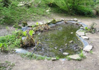 CRISTINA-ENEA, ABANDONADO.