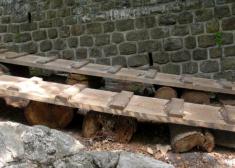 De árboles y pintadas