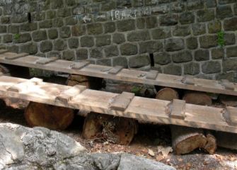 De árboles y pintadas