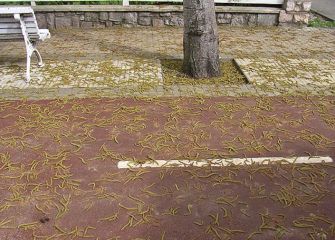 Decoración natural en Errotaburu