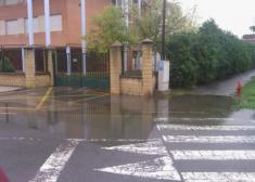 Del paso de cebra al charco