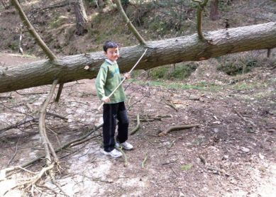 Desastre municipal en Olaberria