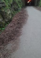 Descuidado el paseo a su paso por el túnel de aduriz