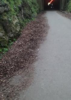 Descuidado el paseo a su paso por el túnel de aduriz