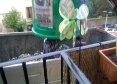 DESPERTADOR INFALIBLE