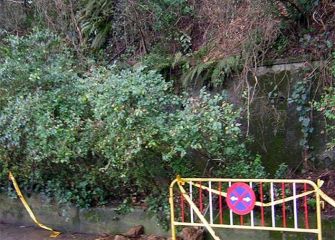 Desprendimiento peligroso en Loiola