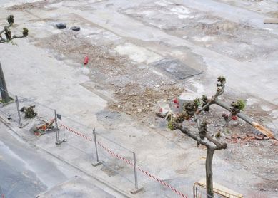 Destrozan un árbol en Errebal