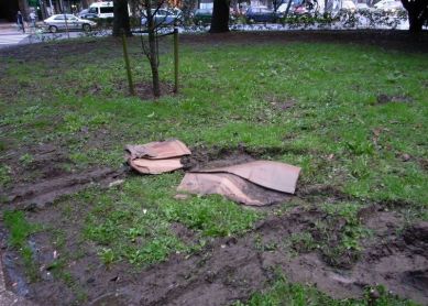 Destrozo del jardín de la Subdelegación del Gobierno