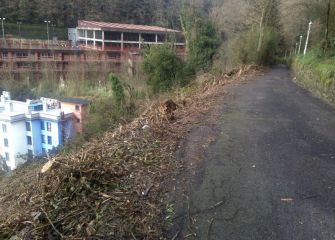 Destrozo y tala indiscriminada en Lourdes Txiki