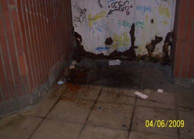 EL CALLEJON DE LAS MEADAS