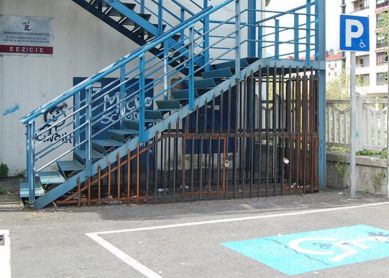 El Guantánamo canino