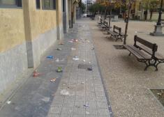 EL PORTAL DEL PARQUE