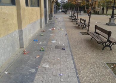 EL PORTAL DEL PARQUE