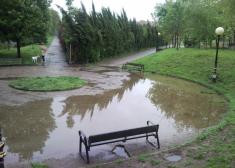 el rincon del olvido