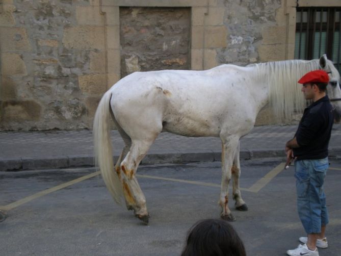 Civismo en Irun