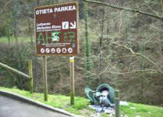 EL TIEMPO LO CURA TODO