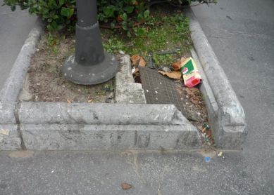 En la Avenida...........