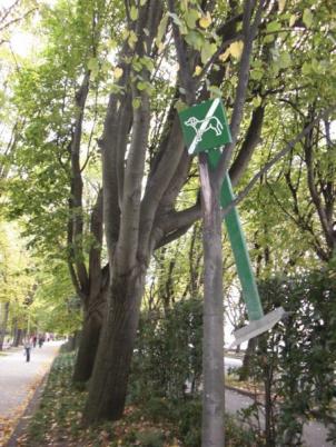 Tráfico en Donostia-San Sebastián