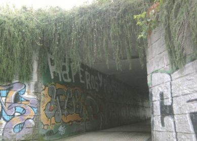 Entrada a un parque o al tunel del misterio.