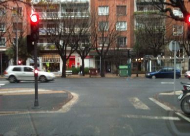 ¿Es una seta?, ¿un champiñón?