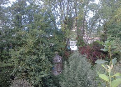 Escombro en el río Oria