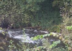 Espuma en el río Leitzaran