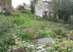 Estado de la zona del Polideportivo