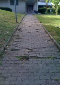 Estado de los pavimentos de Bidebieta II