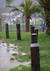 ¿Estan tratadas con creosota ?