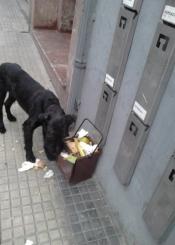 Esto es le puerta apuerta de Hernani