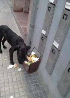 Esto es le puerta apuerta de Hernani